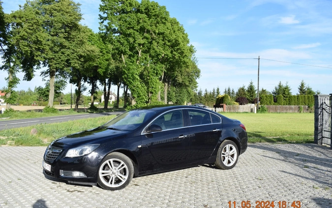 Opel Insignia cena 19999 przebieg: 240000, rok produkcji 2009 z Płock małe 106